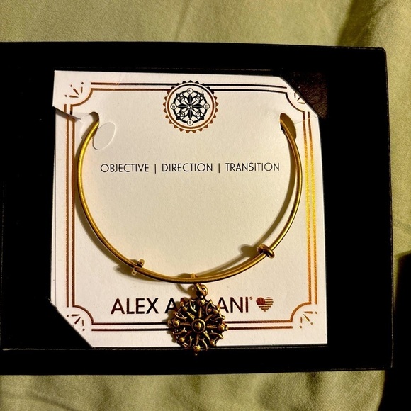 Alex and Ani Objective Direction Transition Compass Charm Bracelet New in Box - Picture 3 of 4